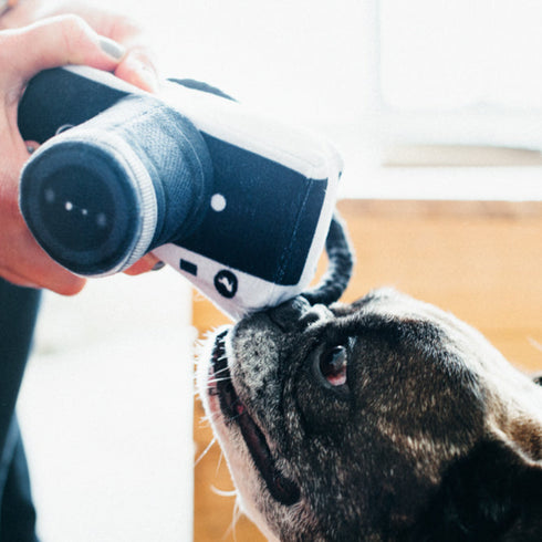 P.L.A.Y. Globetrotter Camera Dog Toy