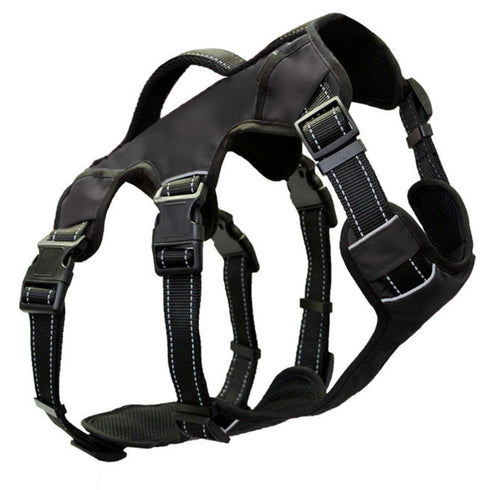 Bay Dog Saranac Saranac Dog Backpack Black Medium - Poudre Pet and Feed Supply