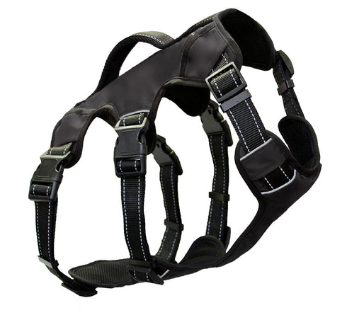 Bay Dog Saranac Saranac Dog Backpack Black Extra Large