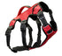 Bay Dog Saranac Saranac Dog Backpack Red Large