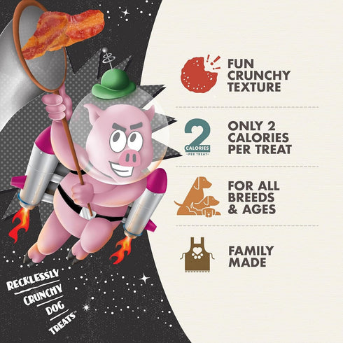 Fromm Crunchy Os Bacon Blasters Flavor Dog Treats 6oz - Poudre Pet and Feed Supply