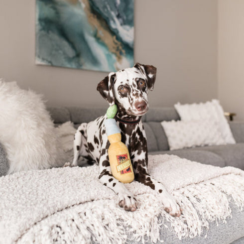 P.L.A.Y. Tropical Paradise Cerveza Dog Toy