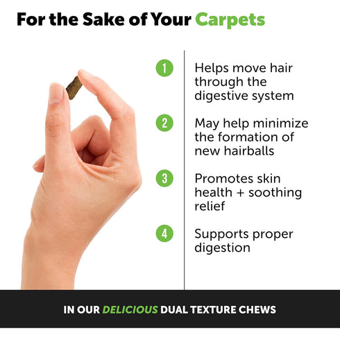 Pet Honesty Hairball Support Chicken Cat Treats 3.7oz poudrefeed.com 3