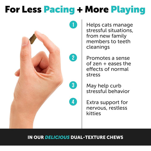 Pet Honesty Calming Chicken Cat Treats 3.7oz poudrefeed.com 3