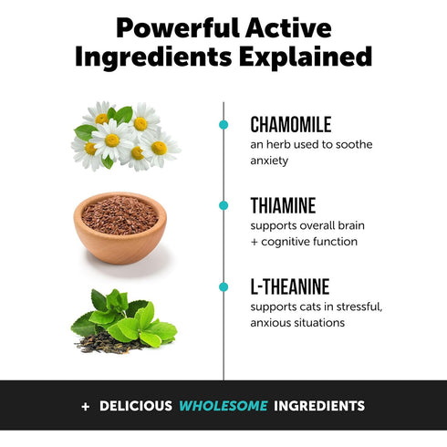 Pet Honesty Calming Chicken Cat Treats 3.7oz poudrefeed.com 4