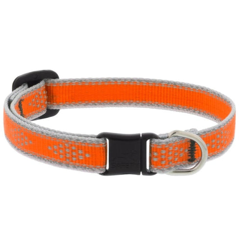 Lupine Cat Collar 1/2" Wide X 8-12" Neck Size High Lights Diamond Orange - Poudre Pet and Feed Supply