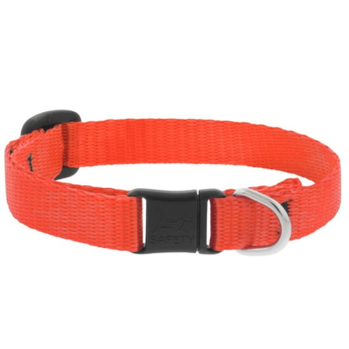 Lupine Basic Solids Safety Cat Collar 1/2" x 8"-12" Blaze Orange - Poudre Pet & Feed Supply