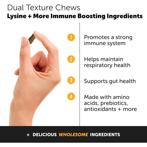 Pet Honesty Immune Support Lysine Chicken Cat Treats 3.7oz poudrefeed.com 3