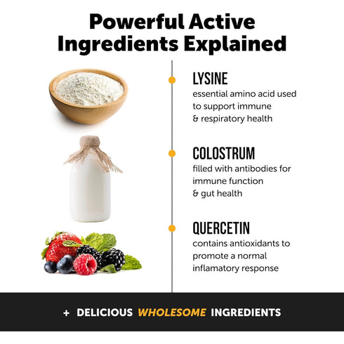 Pet Honesty Immune Support Lysine Chicken Cat Treats 3.7oz poudrefeed.com 4