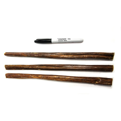 The Natural Dog Company Bully 12" Gullet Sticks 6oz poudrefeed.com 3