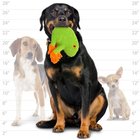 Tuffy's Mighty Microfiber Frog Squeaker Dog Toy