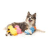 FuzzYard Rolly The Bed Bug Yellow Dog Toy - Poudre Pet & Feed Supply 3
