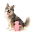 FuzzYard Flutter The Bed Bug Pink Dog Toy - Poudre Pet & Feed Supply 2