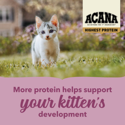 Acana Highest Protein Kitten Dry Cat Food - Chicken, Turkey, & Salmon - 4lb Bag