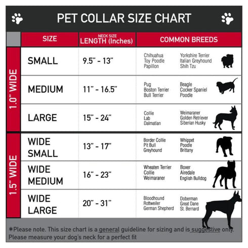 Buckel Down Collar for Dogs Constellations Wide Large - Poudre Pet and Feed Supply