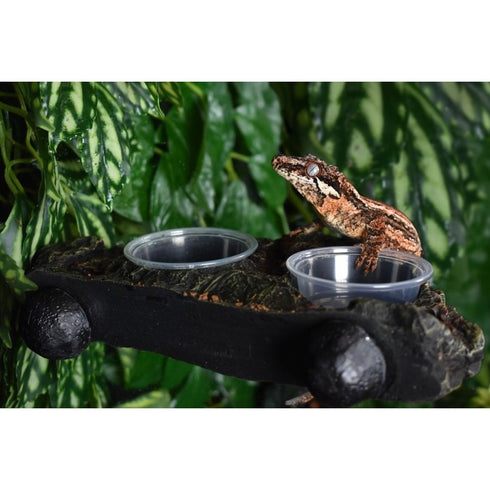 Komodo Magnetic Dual Gecko Feeding Ledge - Poudre Pet & Feed Supply 3