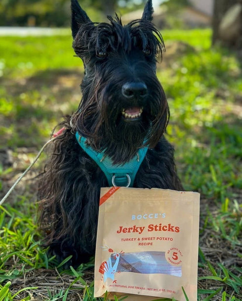 Bocce's Bakery Turkey Grazers Jerky Sticks Dog Treats 4 oz