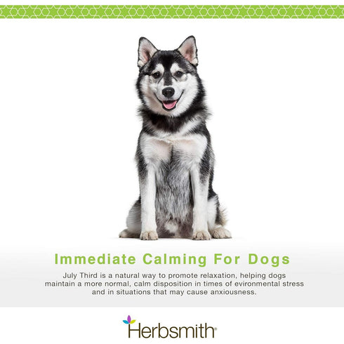 Herbsmith July 3rd Calming Large Chews 30Ct Poudre Pet & Feed Supply 2