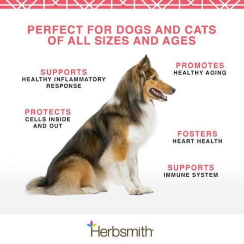 Herbsmith Pure Krill Health Supplement for Dogs & Cats 75g Poudre Pet & Feed Supply 2
