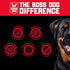 Boss Dog Leash TPU Poly Webbing 20 Foot Black Poudre Pet & Feed Supply 2