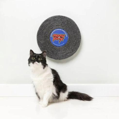 Fuzzyard Record Cat Scratcher Meow Punk