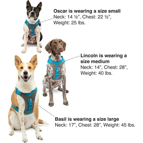 Kurgo Journey Air Dog Harness Blue Medium - Poudre Pet & Feed Supply 6