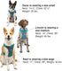 Kurgo Journey Air Dog Harness Blue Large - Poudre Pet & Feed Supply 6