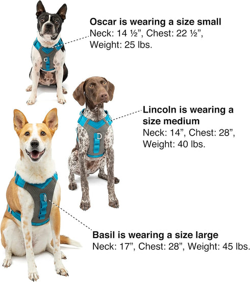 Kurgo Journey Air Dog Harness Purple Large - Poudre Pet & Feed Supply 6