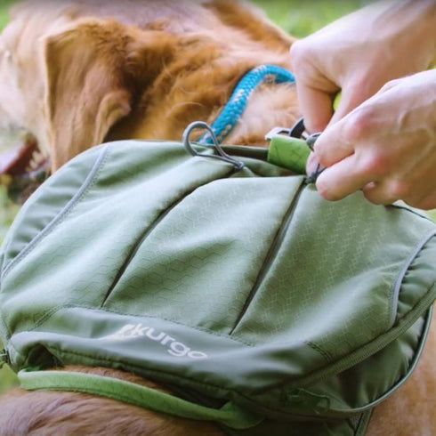 Kurgo Cascade Dog Harness Green Small - Poudre Pet & Feed Supply 2