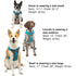 Kurgo Journey Air Dog Harness Black Gray Medium - Poudre Pet & Feed Supply 6