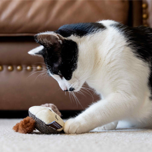 P.L.A.Y Feline Frenzy Bandit Buddies Cat Toy Set