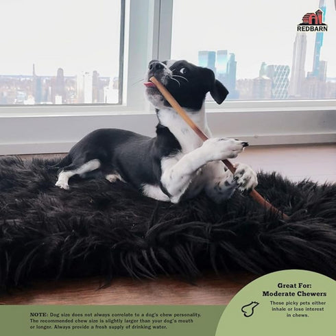 Redbarn 24" Bully Sticks for Dogs