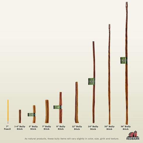 Redbarn 24" Bully Sticks for Dogs