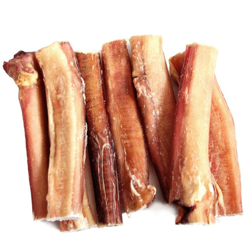 The Natural Dog 6" Jumbo Bully Sticks Odor Free Dog Treats 25Pk - Poudre Pet & Feed Supply