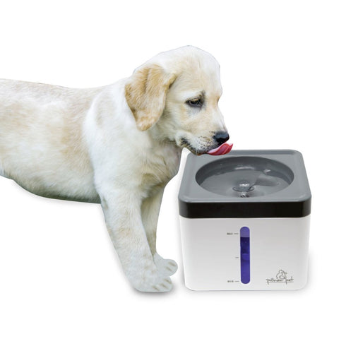 Pioneer Mini Vortex Fountain - Poudre Pet & Feed Supply 3