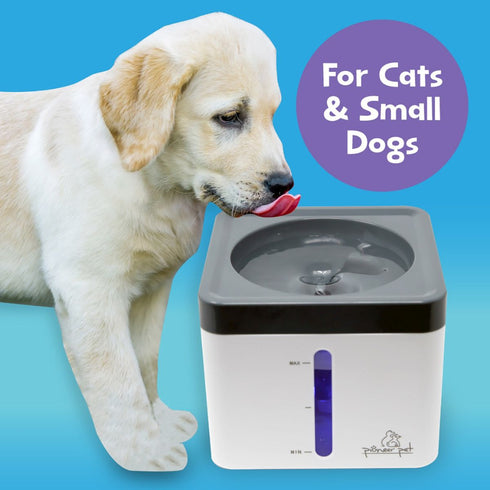 Pioneer Mini Vortex Fountain - Poudre Pet & Feed Supply 4