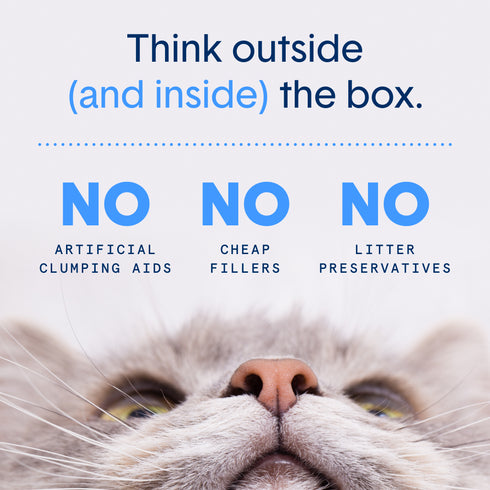 Boxie Cat Glo Natural Attractions Clumping Clay Litter 28 lb