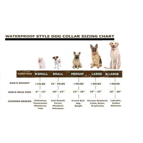 Euro-Dog Waterproof Dog Collar Small Charcoal - Poudre Pet & Feed Supply 2