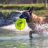 Wham-O Pets Frisbee Whizzbee - The Original Fetch Flyer - Flying, Whistling, Floating Disc Dog Toy, Green