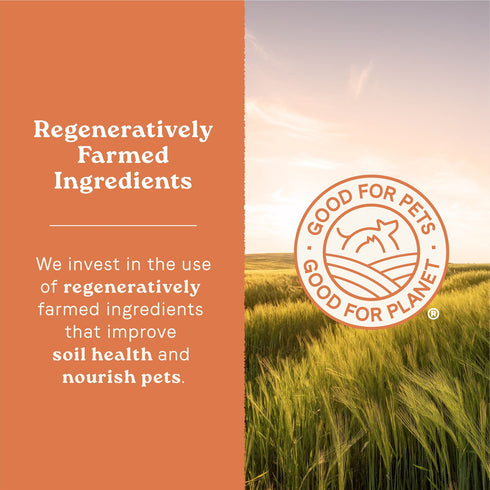 Canidae All Life Stages Grain-Free Real Chicken & Potato Recipe Dry Dog Food 24lb