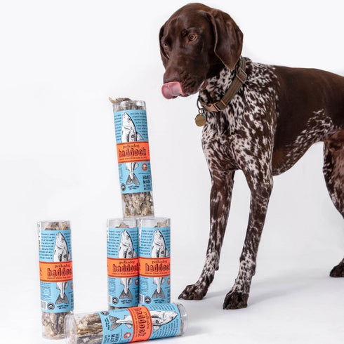 PolkaDog Haddock Skins 2 oz, tube