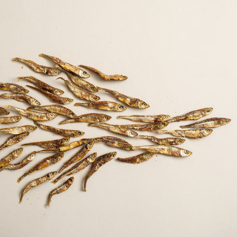 Polkadog Atlantic Silverside 2.5oz