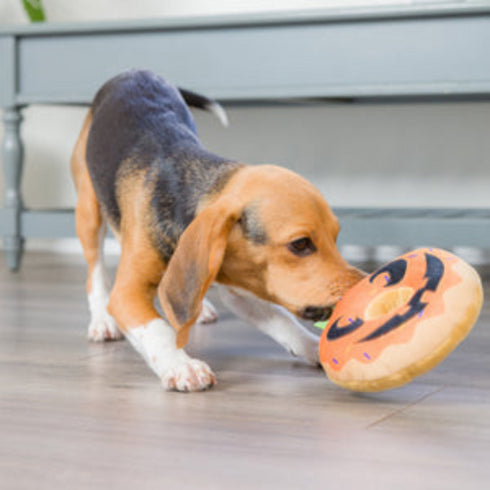 H&K Pumpkin Donut Dog Toy