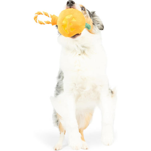 Huxley & Kent for Dogs Jack-o-Lantern Safety Pop