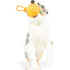 Huxley & Kent for Dogs Jack-o-Lantern Safety Pop
