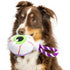 Huxley & Kent Eyeball Safety Pop Halloween Fall Power Plush Dog