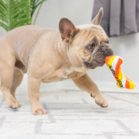 H&K Tiny Tuff Pumpkin Treats 2pk