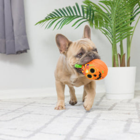 H&K Tiny Tuff Pumpkin Treats 2pk