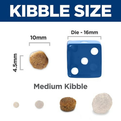 Hill's Science Diet Puppy Sensitive Stomach & Skin Salmon & Brown Rice Dry Dog Food 4lb