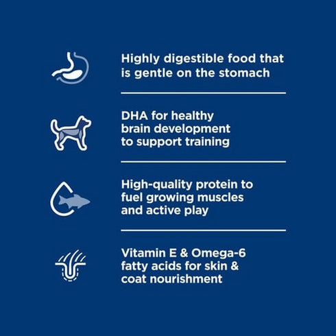 Hill's Science Diet Puppy Sensitive Stomach & Skin Salmon & Brown Rice Dry Dog Food 4lb